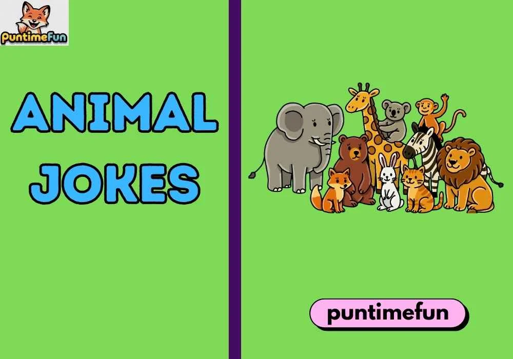 Animal Jokes