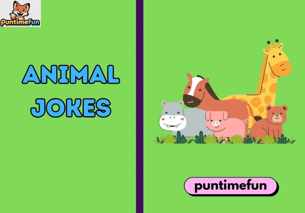 Animal Jokes