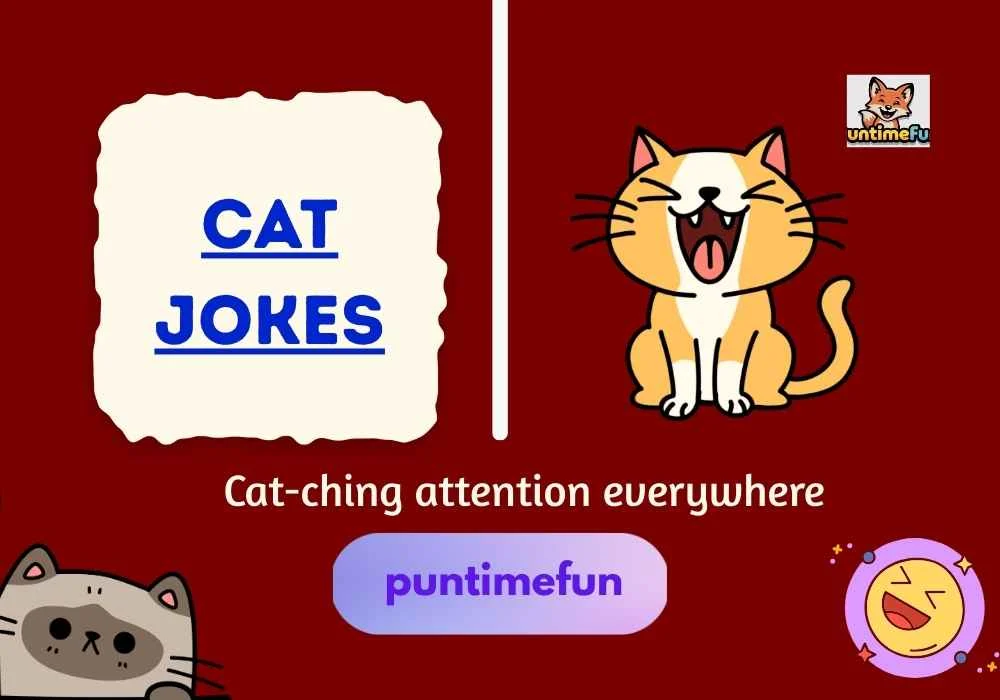 Cat Jokes