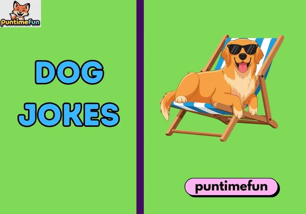Dog Jokes