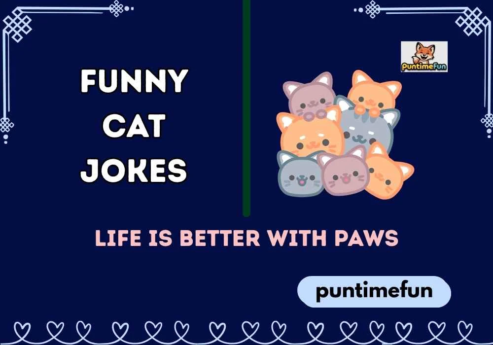 Funny Cat Jokes